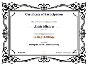 Certificate of Participation